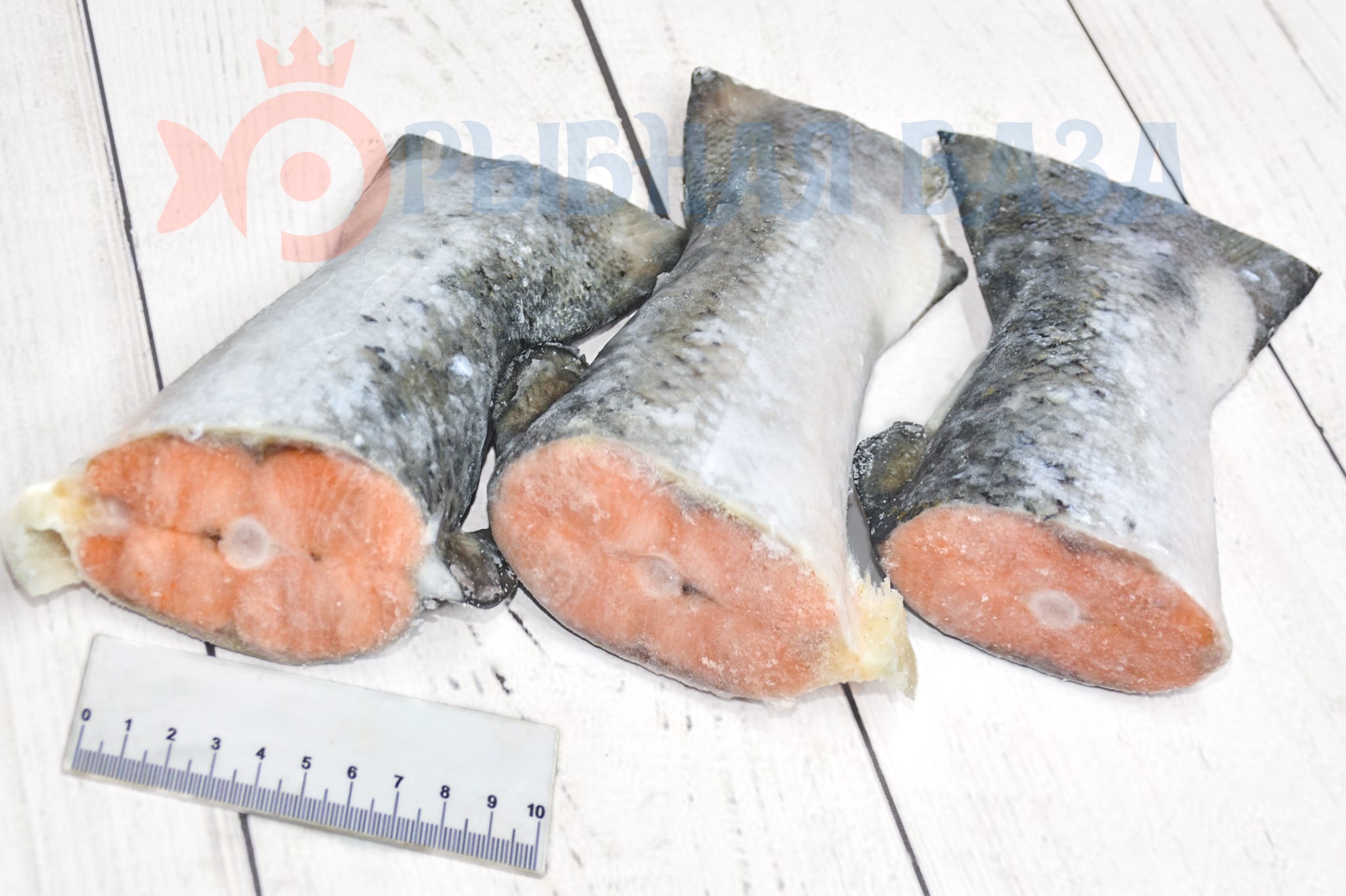 Семга хвост-стейк свежемороженый СУПЕР 1 кг 