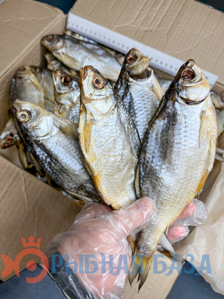 Вобла Астраханская вяленая средняя с икрой 50-70г/шт весовая